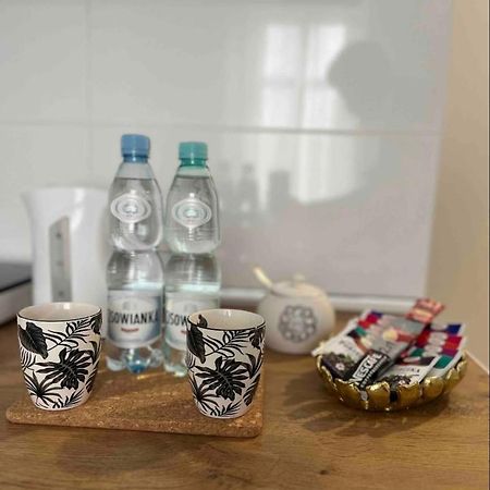 Keyif Apartamenty Katowice Eksteriør billede