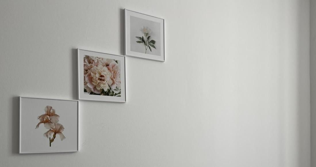Keyif Apartamenty Katowice Eksteriør billede